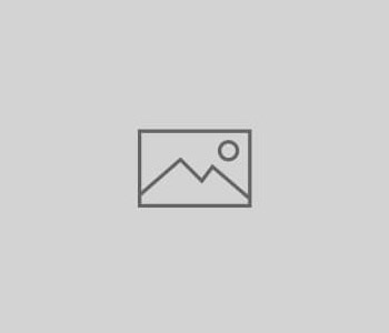 Post Format: Gallery (Tiled)